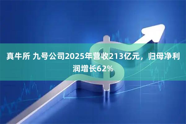 真牛所 九号公司2025年营收213亿元，归母净利润增长62%