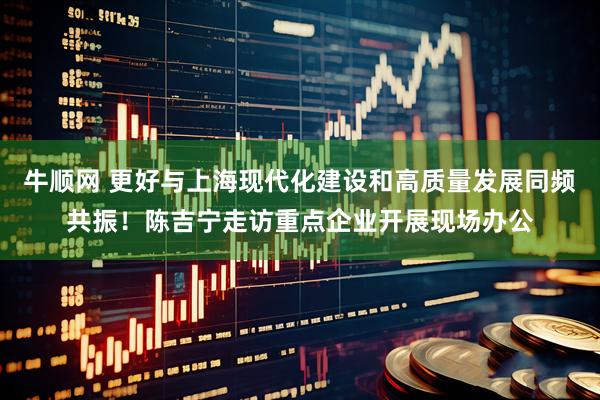 牛顺网 更好与上海现代化建设和高质量发展同频共振！陈吉宁走访重点企业开展现场办公